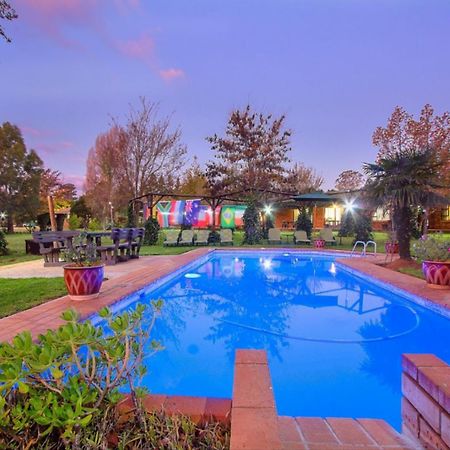 Airport Bird & Game Lodge Kempton Park Exterior foto