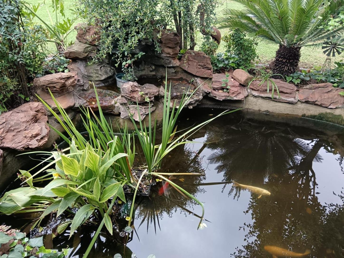 Airport Bird & Game Lodge Kempton Park Exterior foto